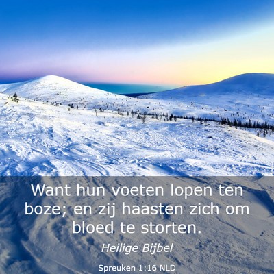 Picture 03 - Spreuken 1:16 NLD - Want hun voeten lopen ten boze; en zij haasten - Bible Verse Picture