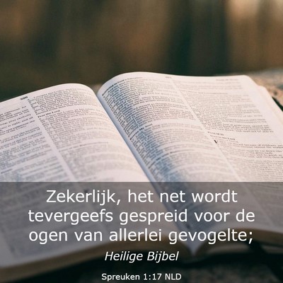 Picture 03 - Spreuken 1:17 NLD - Zekerlijk, het net wordt tevergeefs gespreid voor - Bible Verse Picture