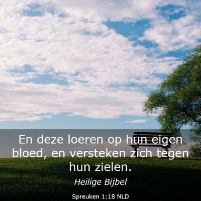 Picture 03 - Spreuken 1:18 NLD - En deze loeren op hun eigen bloed, en versteken - Bible Verse Picture