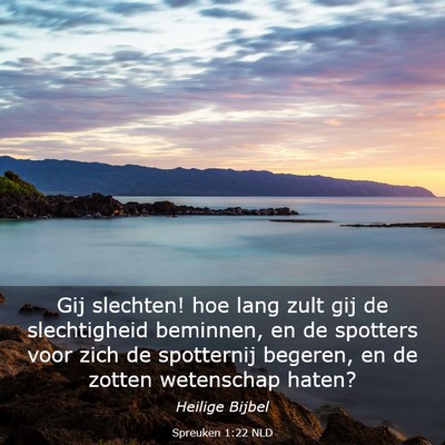 Picture 03 - Spreuken 1:22 NLD - Gij slechten! hoe lang zult gij de slechtigheid - Bible Verse Picture