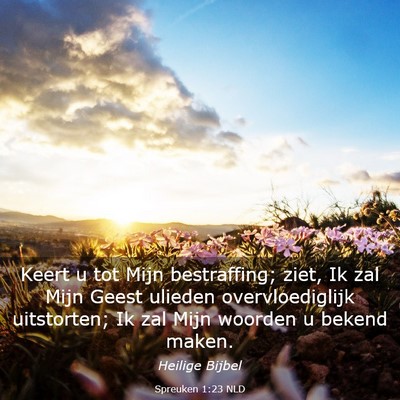 Picture 03 - Spreuken 1:23 NLD - Keert u tot Mijn bestraffing; ziet, Ik zal Mijn - Bible Verse Picture
