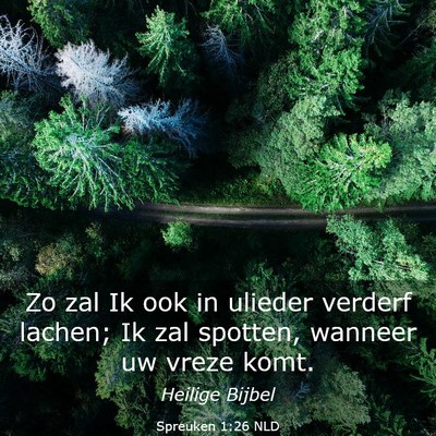 Picture 03 - Spreuken 1:26 NLD - Zo zal Ik ook in ulieder verderf lachen; Ik zal - Bible Verse Picture