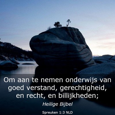 Picture 03 - Spreuken 1:3 NLD - Om aan te nemen onderwijs van goed verstand, - Bible Verse Picture