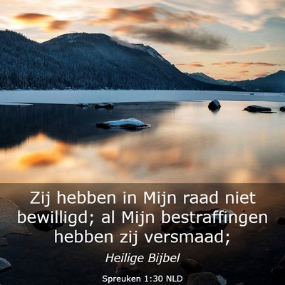Picture 03 - Spreuken 1:30 NLD - Zij hebben in Mijn raad niet bewilligd; al Mijn - Bible Verse Picture