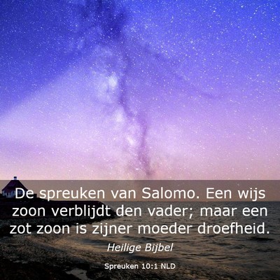 Picture 03 - Spreuken 10:1 NLD - De spreuken van Salomo. Een wijs zoon verblijdt - Bible Verse Picture