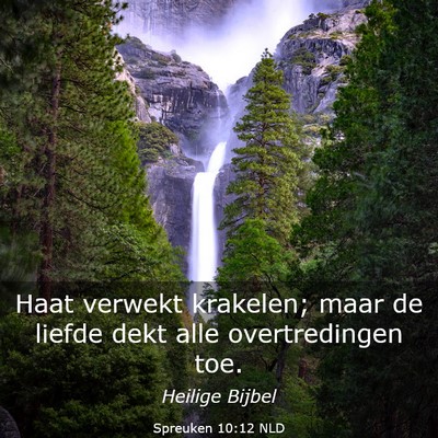 Picture 03 - Spreuken 10:12 NLD - Haat verwekt krakelen; maar de liefde dekt alle - Bible Verse Picture