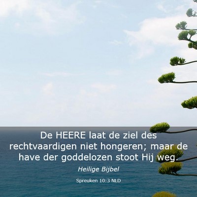 Picture 03 - Spreuken 10:3 NLD - De HEERE laat de ziel des rechtvaardigen niet - Bible Verse Picture