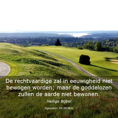 Picture 03 - Spreuken 10:30 NLD - De rechtvaardige zal in eeuwigheid niet bewogen - Bible Verse Picture
