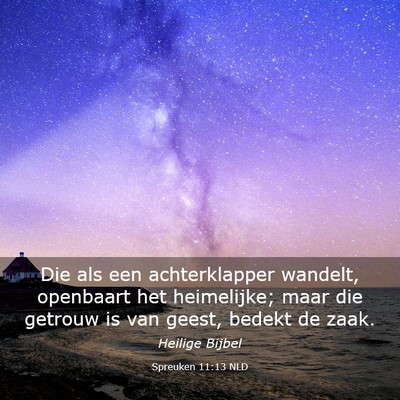 Picture 03 - Spreuken 11:13 NLD - Die als een achterklapper wandelt, openbaart het - Bible Verse Picture