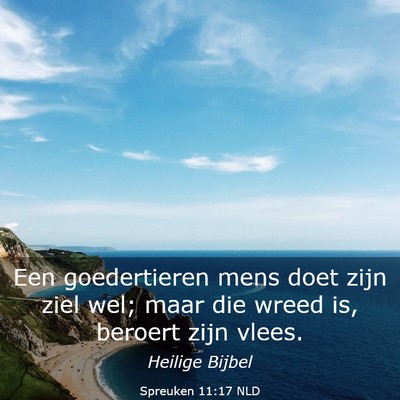 Picture 03 - Spreuken 11:17 NLD - Een goedertieren mens doet zijn ziel wel; maar - Bible Verse Picture