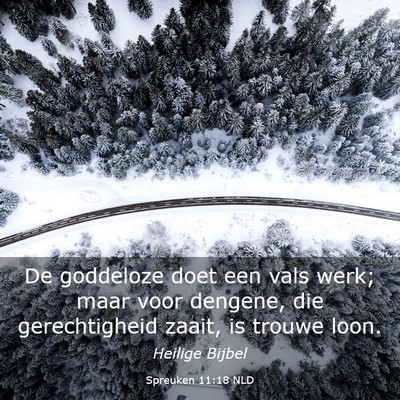 Picture 03 - Spreuken 11:18 NLD - De goddeloze doet een vals werk; maar voor - Bible Verse Picture