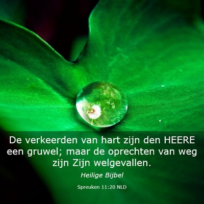 Picture 03 - Spreuken 11:20 NLD - De verkeerden van hart zijn den HEERE een gruwel; - Bible Verse Picture