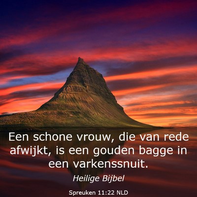 Picture 03 - Spreuken 11:22 NLD - Een schone vrouw, die van rede afwijkt, is een - Bible Verse Picture