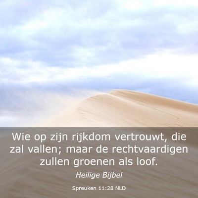 Picture 03 - Spreuken 11:28 NLD - Wie op zijn rijkdom vertrouwt, die zal vallen; - Bible Verse Picture
