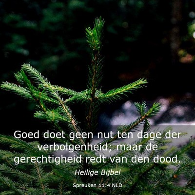Picture 03 - Spreuken 11:4 NLD - Goed doet geen nut ten dage der verbolgenheid; - Bible Verse Picture