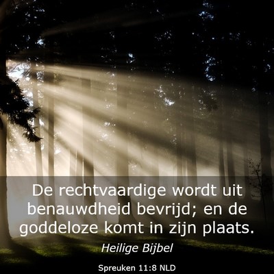 Picture 03 - Spreuken 11:8 NLD - De rechtvaardige wordt uit benauwdheid bevrijd; - Bible Verse Picture