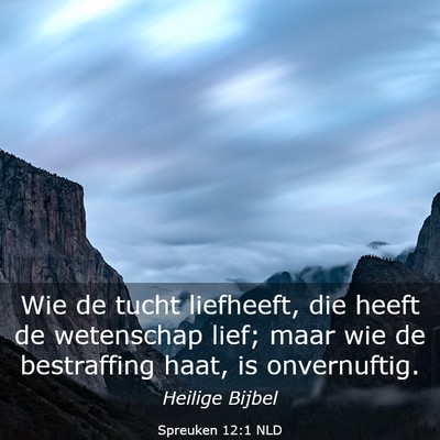 Picture 03 - Spreuken 12:1 NLD - Wie de tucht liefheeft, die heeft de wetenschap - Bible Verse Picture