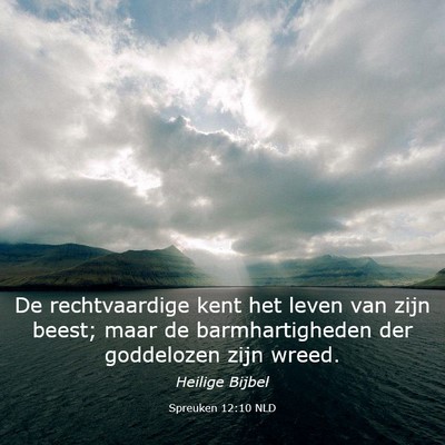 Picture 03 - Spreuken 12:10 NLD - De rechtvaardige kent het leven van zijn beest; - Bible Verse Picture
