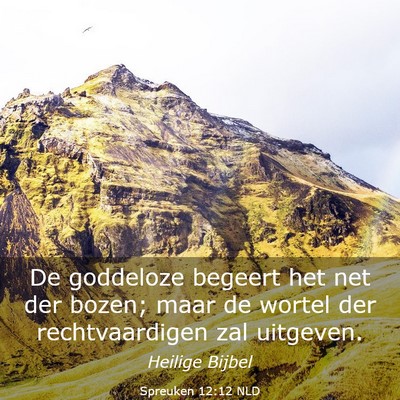 Picture 03 - Spreuken 12:12 NLD - De goddeloze begeert het net der bozen; maar de - Bible Verse Picture