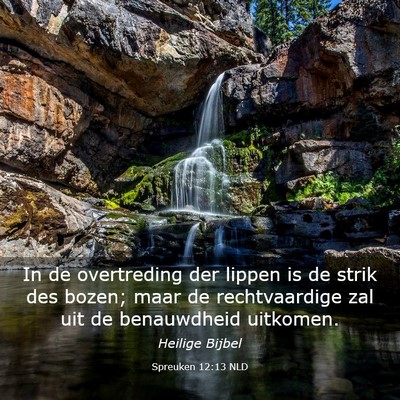 Picture 03 - Spreuken 12:13 NLD - In de overtreding der lippen is de strik des - Bible Verse Picture