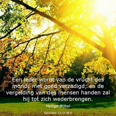 Picture 03 - Spreuken 12:14 NLD - Een ieder wordt van de vrucht des monds met goed - Bible Verse Picture