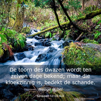 Picture 03 - Spreuken 12:16 NLD - De toorn des dwazen wordt ten zelven dage bekend; - Bible Verse Picture
