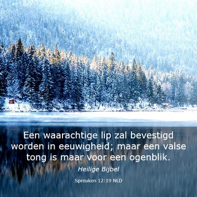 Picture 03 - Spreuken 12:19 NLD - Een waarachtige lip zal bevestigd worden in - Bible Verse Picture