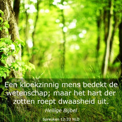 Picture 03 - Spreuken 12:23 NLD - Een kloekzinnig mens bedekt de wetenschap; maar - Bible Verse Picture