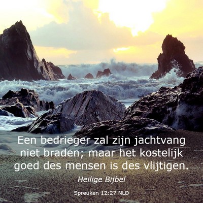 Picture 03 - Spreuken 12:27 NLD - Een bedrieger zal zijn jachtvang niet braden; - Bible Verse Picture