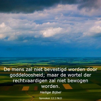 Picture 03 - Spreuken 12:3 NLD - De mens zal niet bevestigd worden door - Bible Verse Picture