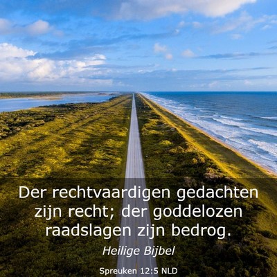 Picture 03 - Spreuken 12:5 NLD - Der rechtvaardigen gedachten zijn recht; der - Bible Verse Picture