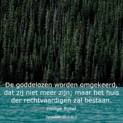 Picture 03 - Spreuken 12:7 NLD - De goddelozen worden omgekeerd, dat zij niet meer - Bible Verse Picture