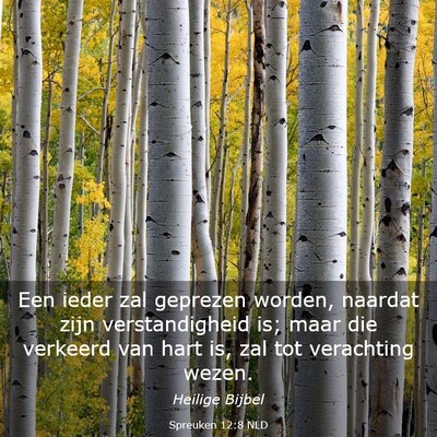 Picture 03 - Spreuken 12:8 NLD - Een ieder zal geprezen worden, naardat zijn - Bible Verse Picture