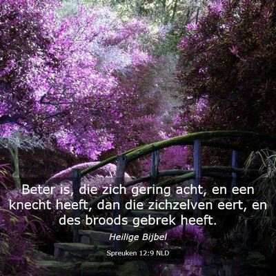 Picture 03 - Spreuken 12:9 NLD - Beter is, die zich gering acht, en een knecht - Bible Verse Picture