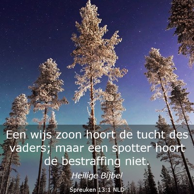 Picture 03 - Spreuken 13:1 NLD - Een wijs zoon hoort de tucht des vaders; maar een - Bible Verse Picture