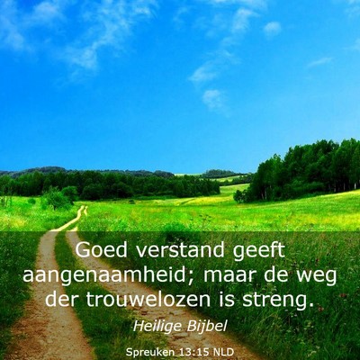 Picture 03 - Spreuken 13:15 NLD - Goed verstand geeft aangenaamheid; maar de weg - Bible Verse Picture