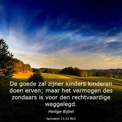 Picture 03 - Spreuken 13:22 NLD - De goede zal zijner kinders kinderen doen erven; - Bible Verse Picture