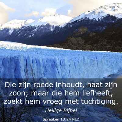 Picture 03 - Spreuken 13:24 NLD - Die zijn roede inhoudt, haat zijn zoon; maar die - Bible Verse Picture