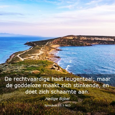 Picture 03 - Spreuken 13:5 NLD - De rechtvaardige haat leugentaal; maar de - Bible Verse Picture