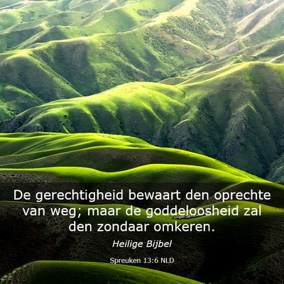 Picture 03 - Spreuken 13:6 NLD - De gerechtigheid bewaart den oprechte van weg; - Bible Verse Picture