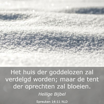 Picture 03 - Spreuken 14:11 NLD - Het huis der goddelozen zal verdelgd worden; maar - Bible Verse Picture
