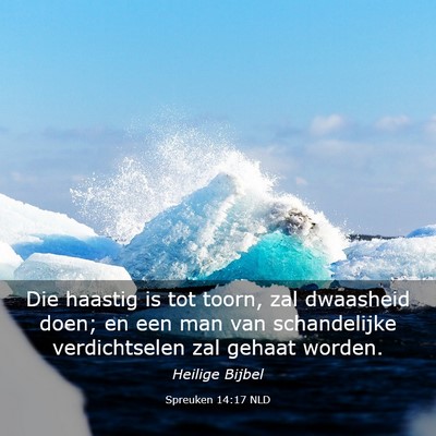 Picture 03 - Spreuken 14:17 NLD - Die haastig is tot toorn, zal dwaasheid doen; en - Bible Verse Picture