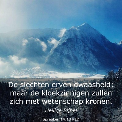 Picture 03 - Spreuken 14:18 NLD - De slechten erven dwaasheid; maar de - Bible Verse Picture