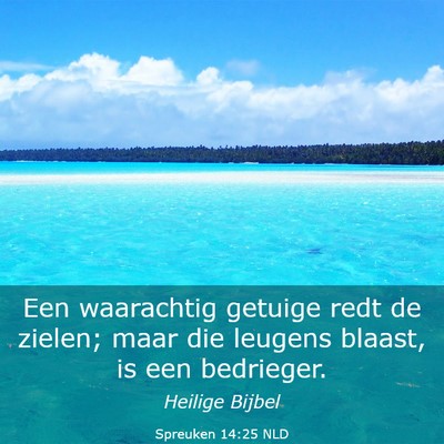 Picture 03 - Spreuken 14:25 NLD - Een waarachtig getuige redt de zielen; maar die - Bible Verse Picture