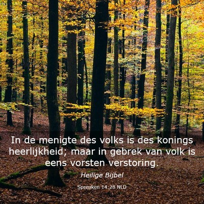 Picture 03 - Spreuken 14:28 NLD - In de menigte des volks is des konings - Bible Verse Picture