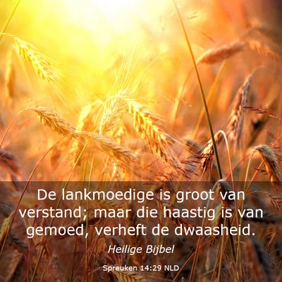 Picture 03 - Spreuken 14:29 NLD - De lankmoedige is groot van verstand; maar die - Bible Verse Picture
