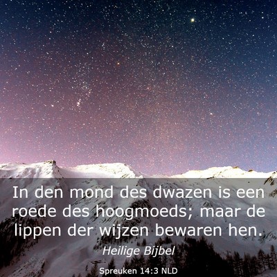 Picture 03 - Spreuken 14:3 NLD - In den mond des dwazen is een roede des - Bible Verse Picture