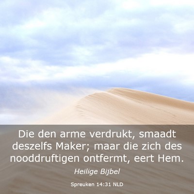 Picture 03 - Spreuken 14:31 NLD - Die den arme verdrukt, smaadt deszelfs Maker; - Bible Verse Picture
