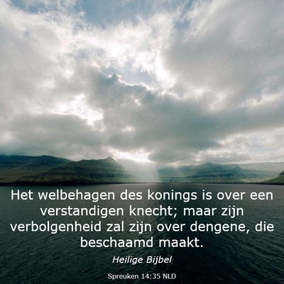 Picture 03 - Spreuken 14:35 NLD - Het welbehagen des konings is over een - Bible Verse Picture