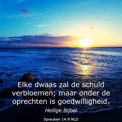 Picture 03 - Spreuken 14:9 NLD - Elke dwaas zal de schuld verbloemen; maar onder - Bible Verse Picture